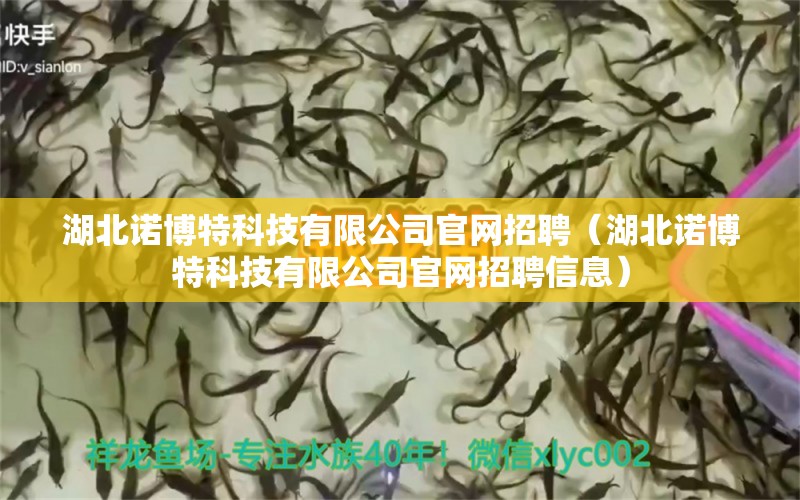 湖北諾博特科技有限公司官網(wǎng)招聘（湖北諾博特科技有限公司官網(wǎng)招聘信息）