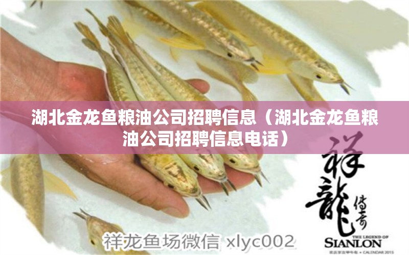 湖北金龍魚糧油公司招聘信息（湖北金龍魚糧油公司招聘信息電話） 金龍魚糧