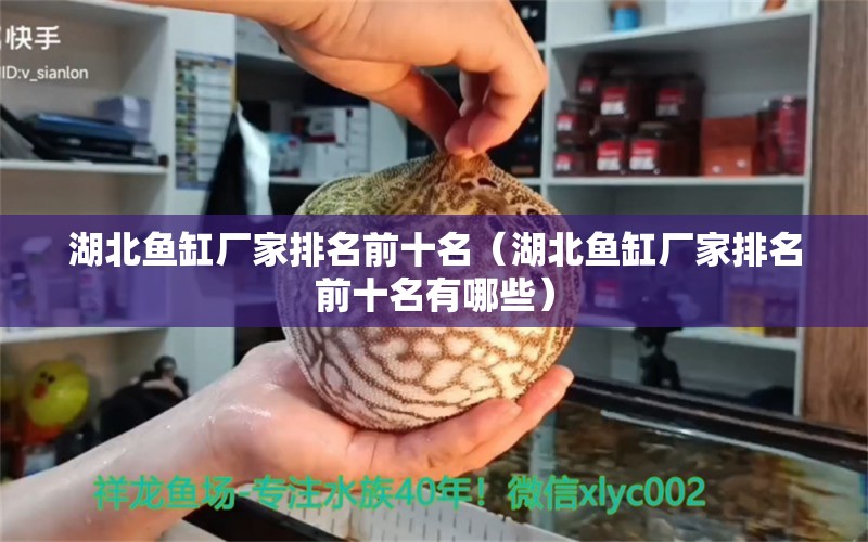 湖北魚缸廠家排名前十名（湖北魚缸廠家排名前十名有哪些）