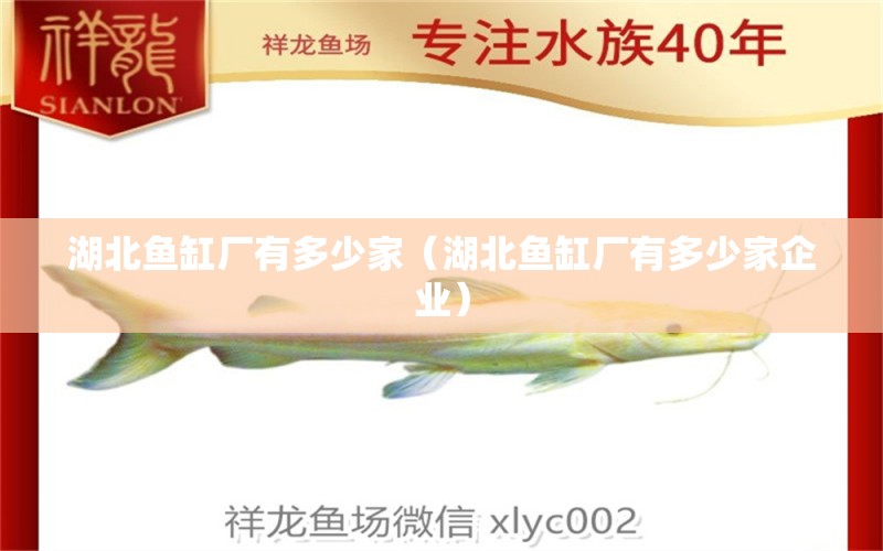 湖北魚(yú)缸廠(chǎng)有多少家（湖北魚(yú)缸廠(chǎng)有多少家企業(yè)） 其他品牌魚(yú)缸