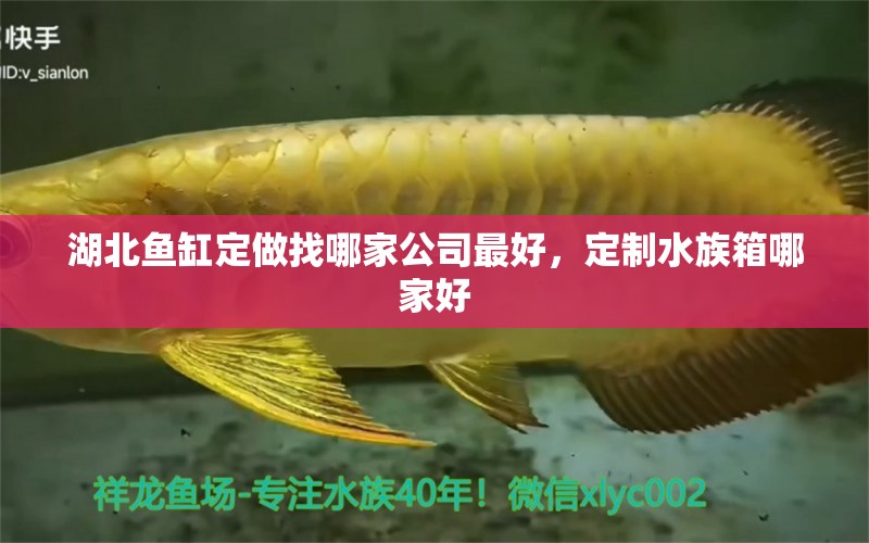 湖北魚缸定做找哪家公司最好，定制水族箱哪家好 魚缸/水族箱 第3張