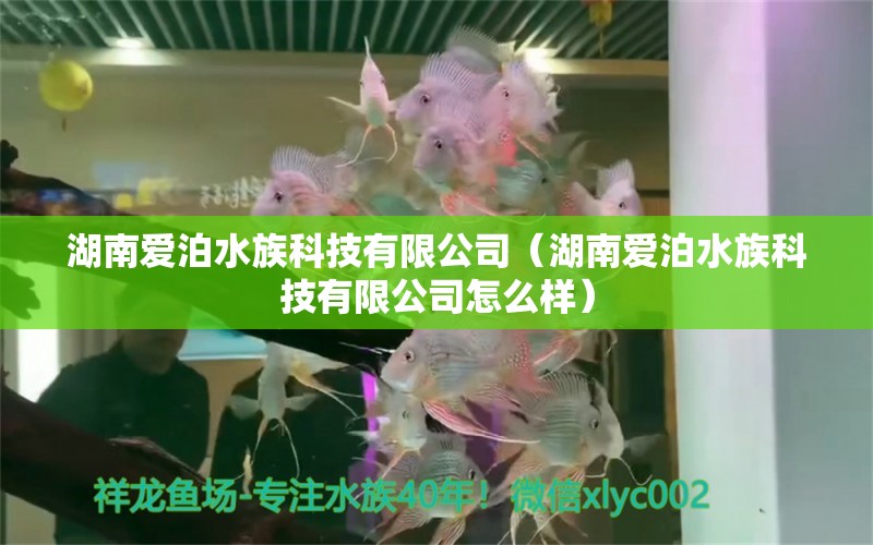 湖南愛泊水族科技有限公司（湖南愛泊水族科技有限公司怎么樣）