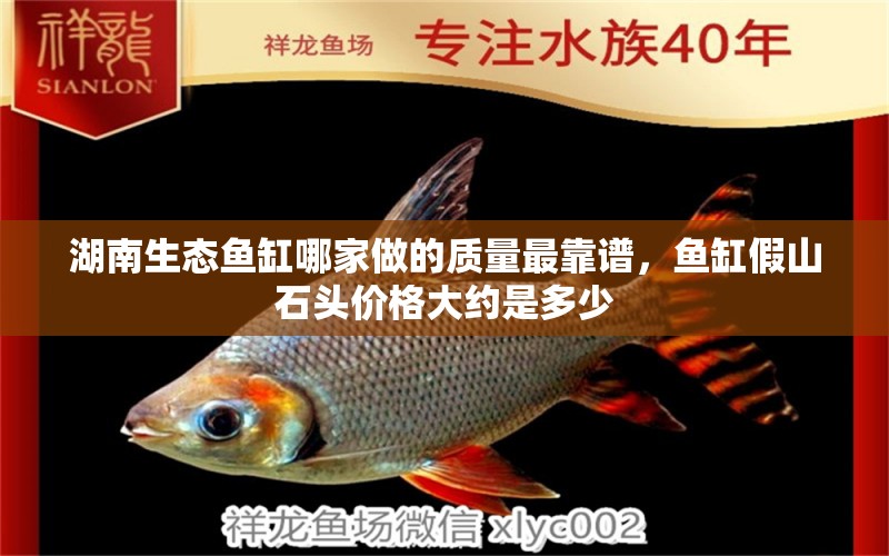 湖南生態(tài)魚缸哪家做的質(zhì)量最靠譜，魚缸假山石頭價格大約是多少 養(yǎng)魚的好處