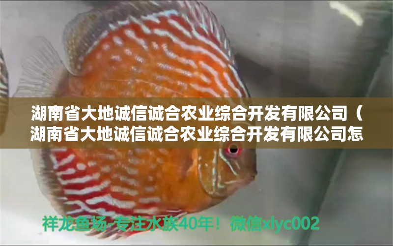 湖南省大地誠信誠合農(nóng)業(yè)綜合開發(fā)有限公司（湖南省大地誠信誠合農(nóng)業(yè)綜合開發(fā)有限公司怎么樣）