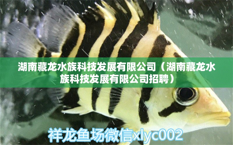 湖南藏龍水族科技發(fā)展有限公司（湖南藏龍水族科技發(fā)展有限公司招聘）