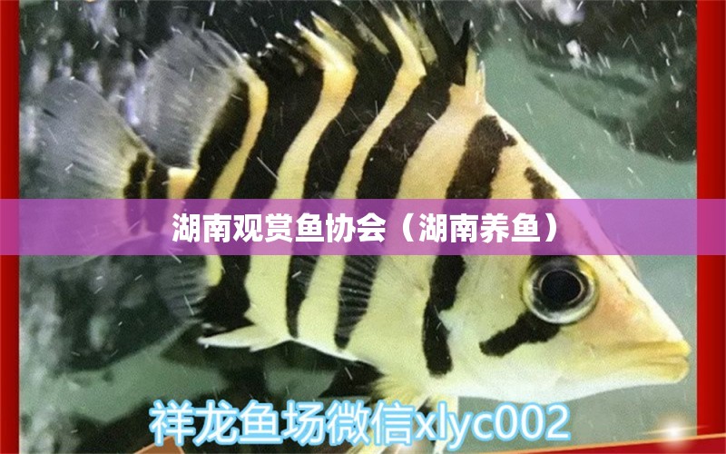 湖南觀賞魚(yú)協(xié)會(huì)（湖南養(yǎng)魚(yú)） 殺菌消毒設(shè)備