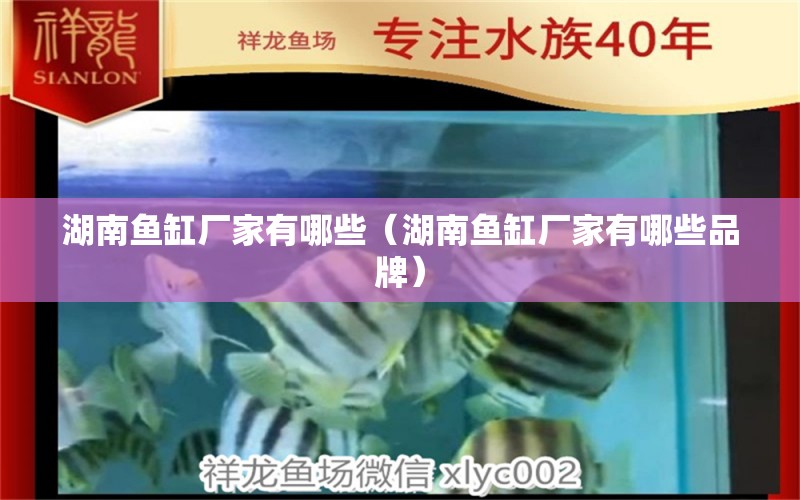 湖南魚缸廠家有哪些（湖南魚缸廠家有哪些品牌）