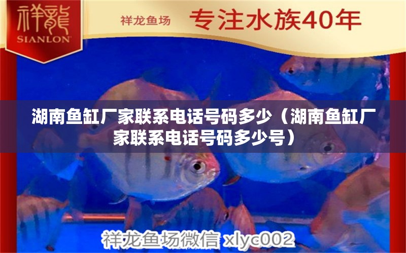 湖南魚缸廠家聯(lián)系電話號(hào)碼多少（湖南魚缸廠家聯(lián)系電話號(hào)碼多少號(hào)）