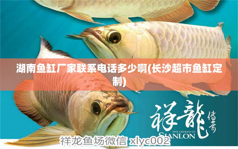 湖南魚缸廠家聯(lián)系電話多少啊(長沙超市魚缸定制)