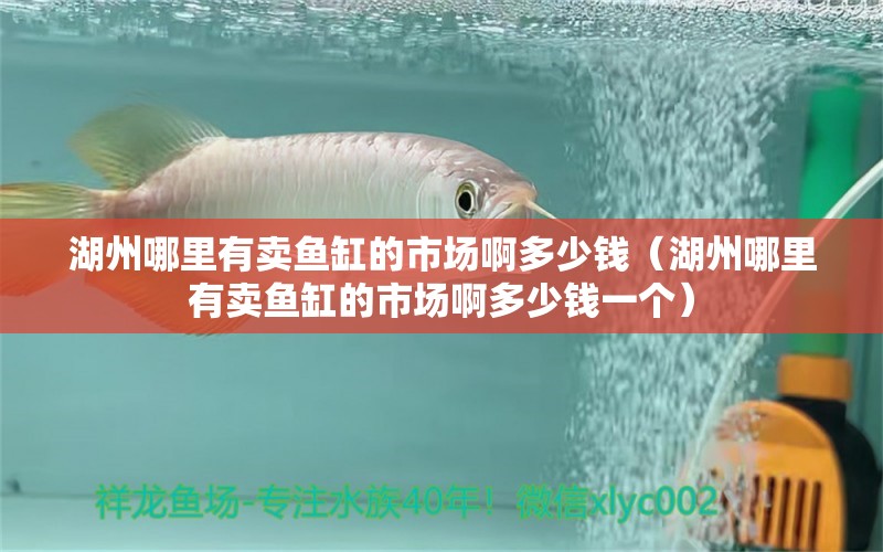 湖州哪里有賣魚缸的市場(chǎng)啊多少錢（湖州哪里有賣魚缸的市場(chǎng)啊多少錢一個(gè)）