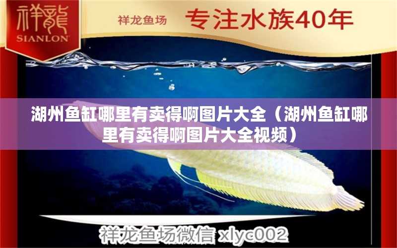 湖州魚缸哪里有賣得啊圖片大全（湖州魚缸哪里有賣得啊圖片大全視頻） 飛鳳魚苗