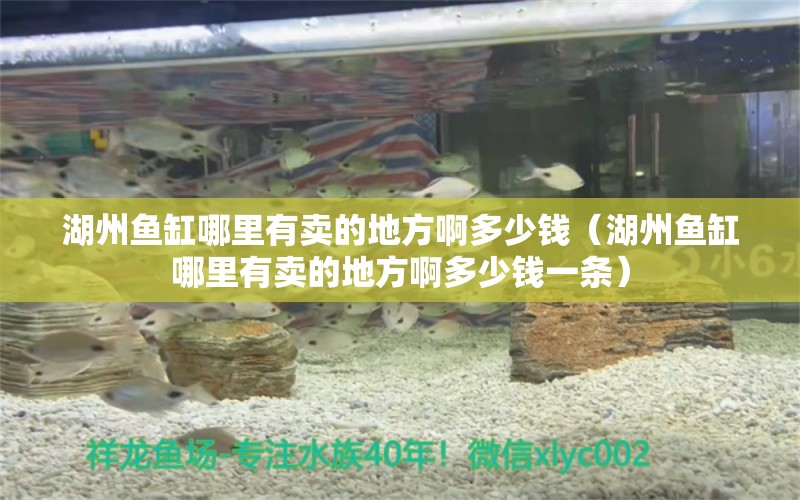 湖州魚缸哪里有賣的地方啊多少錢（湖州魚缸哪里有賣的地方啊多少錢一條）