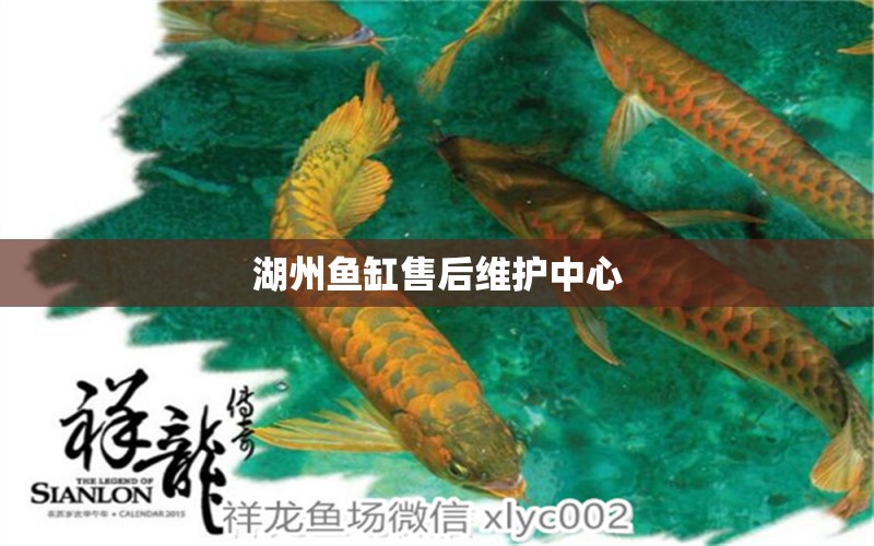 湖州魚缸售后維護(hù)中心