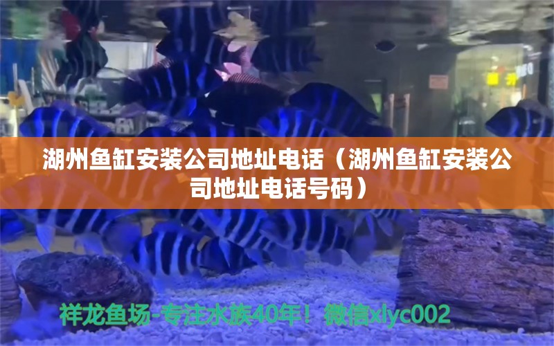 湖州魚缸安裝公司地址電話（湖州魚缸安裝公司地址電話號碼）