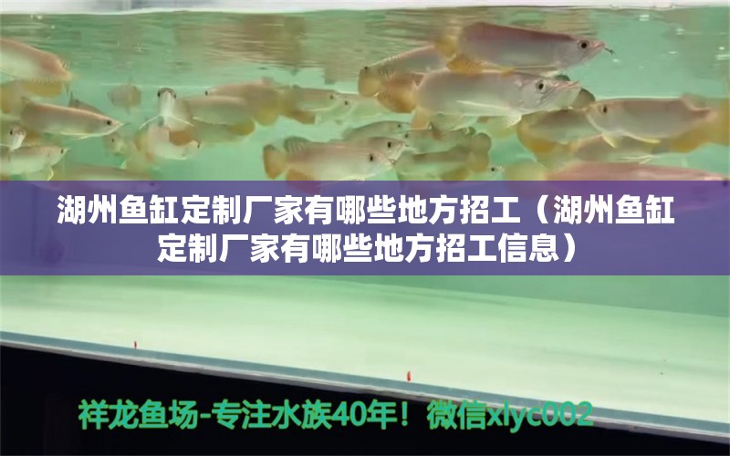 湖州魚(yú)缸定制廠家有哪些地方招工（湖州魚(yú)缸定制廠家有哪些地方招工信息） 祥龍水族醫(yī)院