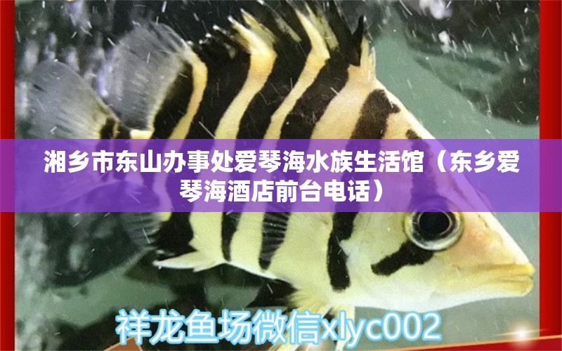 湘鄉(xiāng)市東山辦事處愛琴海水族生活館（東鄉(xiāng)愛琴海酒店前臺電話）