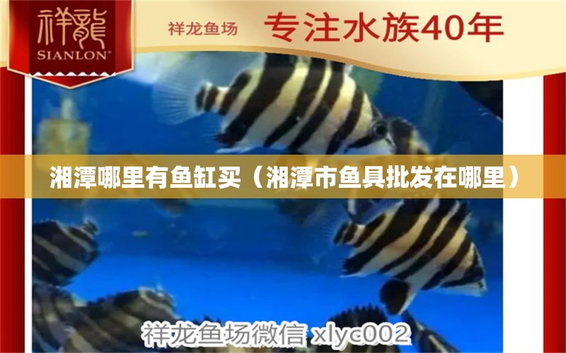 湘潭哪里有魚缸買（湘潭市魚具批發(fā)在哪里）