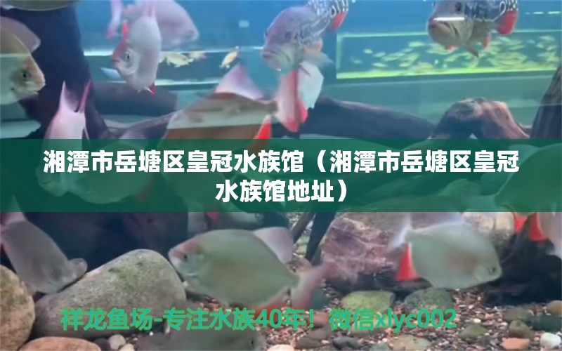 湘潭市岳塘區(qū)皇冠水族館（湘潭市岳塘區(qū)皇冠水族館地址）