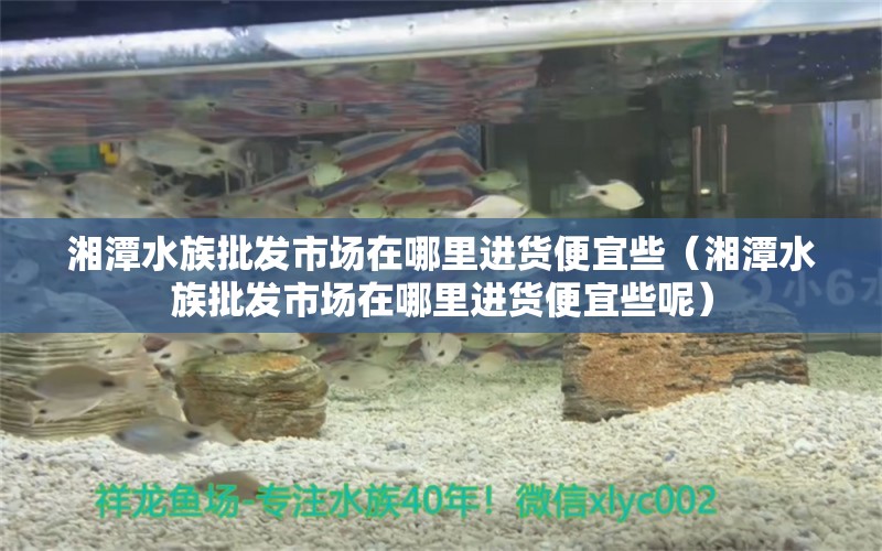 湘潭水族批發(fā)市場在哪里進貨便宜些（湘潭水族批發(fā)市場在哪里進貨便宜些呢）