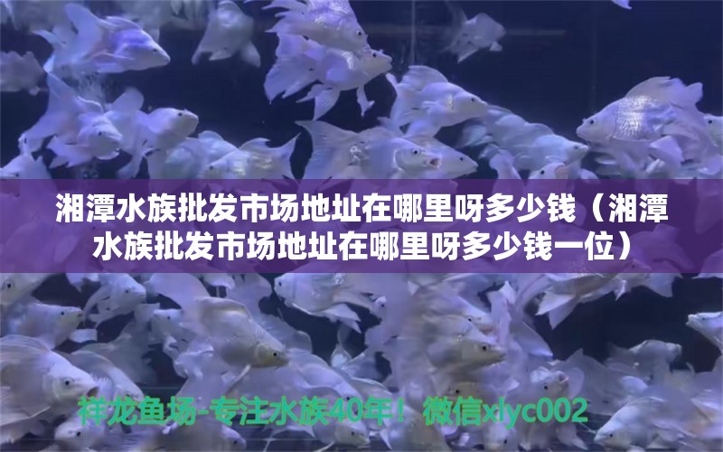 湘潭水族批發(fā)市場地址在哪里呀多少錢（湘潭水族批發(fā)市場地址在哪里呀多少錢一位）