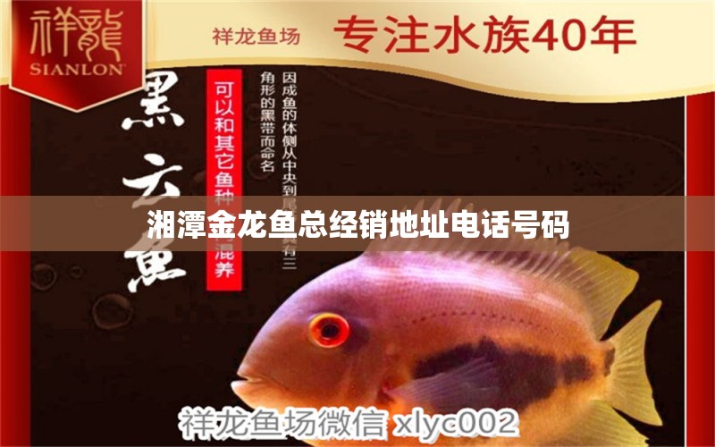 湘潭金龍魚(yú)總經(jīng)銷地址電話號(hào)碼