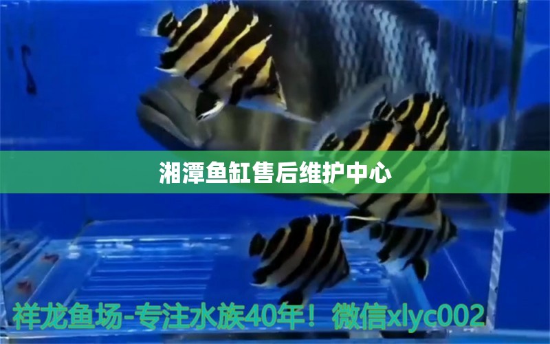 湘潭魚缸售后維護(hù)中心