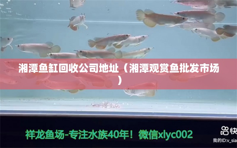 湘潭魚缸回收公司地址（湘潭觀賞魚批發(fā)市場）