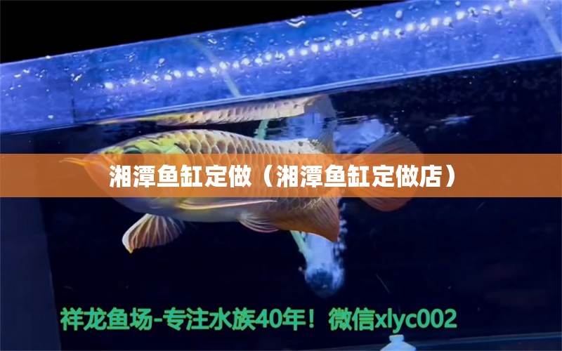 湘潭魚缸定做（湘潭魚缸定做店）