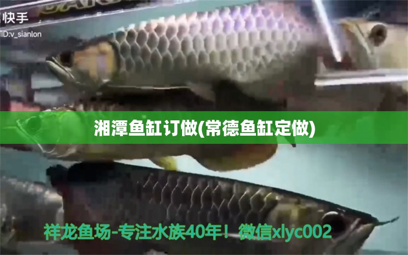 湘潭魚缸訂做(常德魚缸定做) 祥龍超血紅龍魚