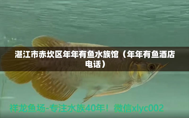 湛江市赤坎區(qū)年年有魚水族館（年年有魚酒店電話）