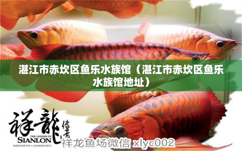 湛江市赤坎區(qū)魚樂水族館（湛江市赤坎區(qū)魚樂水族館地址） 全國水族館企業(yè)名錄