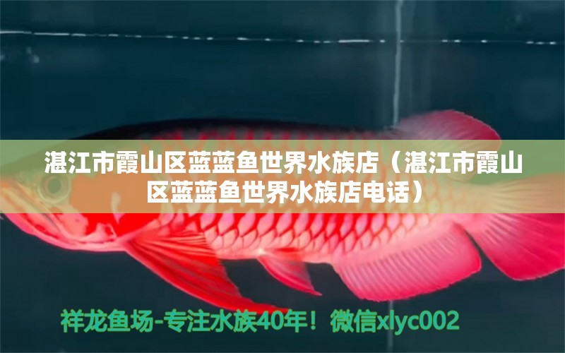 湛江市霞山區(qū)藍藍魚世界水族店（湛江市霞山區(qū)藍藍魚世界水族店電話）