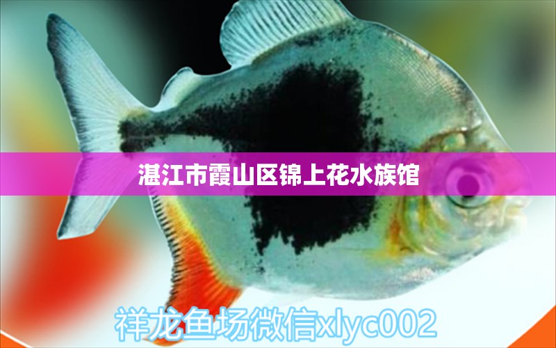 湛江市霞山區(qū)錦上花水族館