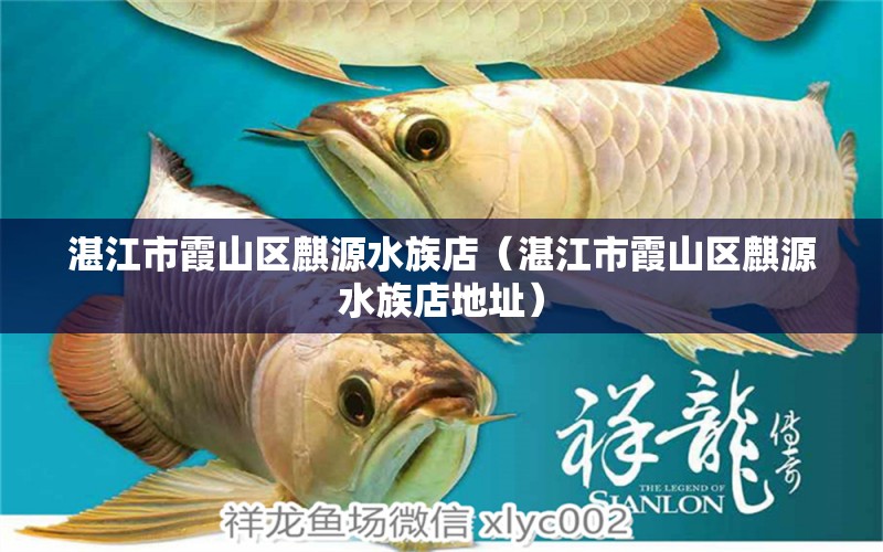 湛江市霞山區(qū)麒源水族店（湛江市霞山區(qū)麒源水族店地址） 全國水族館企業(yè)名錄