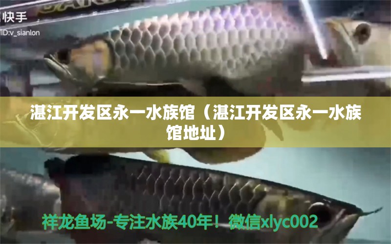 湛江開發(fā)區(qū)永一水族館（湛江開發(fā)區(qū)永一水族館地址） 全國水族館企業(yè)名錄