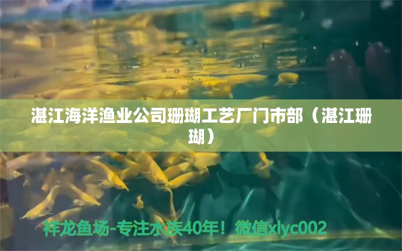 湛江海洋漁業(yè)公司珊瑚工藝廠(chǎng)門(mén)市部（湛江珊瑚） 全國(guó)水族館企業(yè)名錄