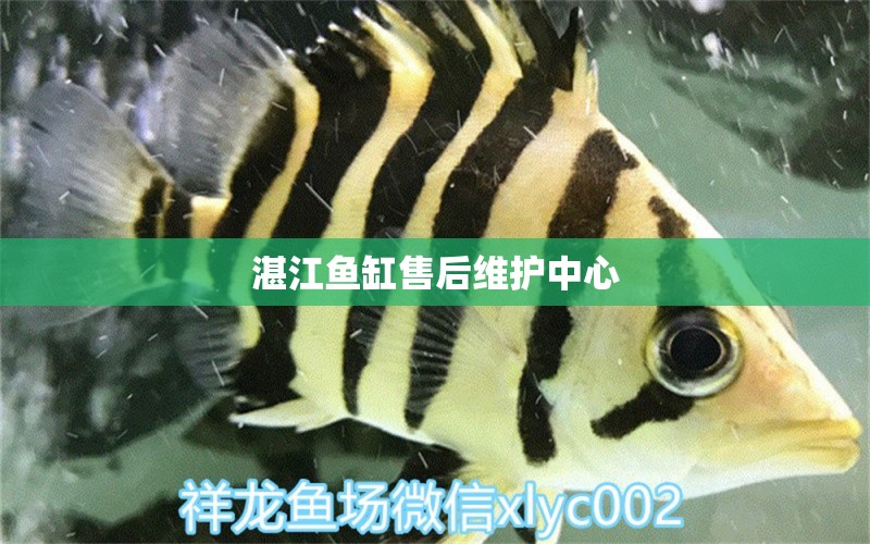 湛江魚(yú)缸售后維護(hù)中心