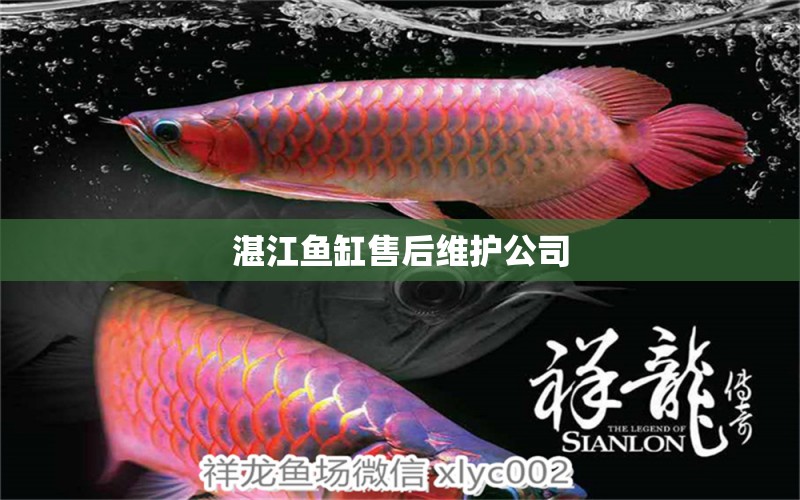 湛江魚缸售后維護公司 其他品牌魚缸