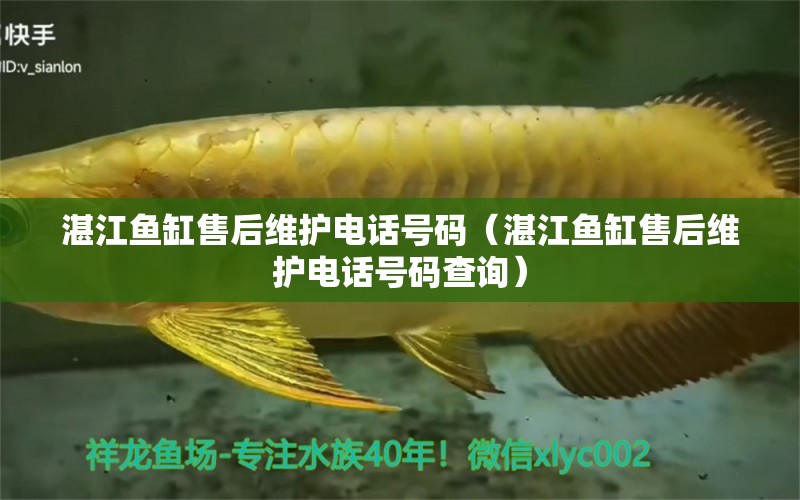 湛江魚缸售后維護(hù)電話號(hào)碼（湛江魚缸售后維護(hù)電話號(hào)碼查詢）