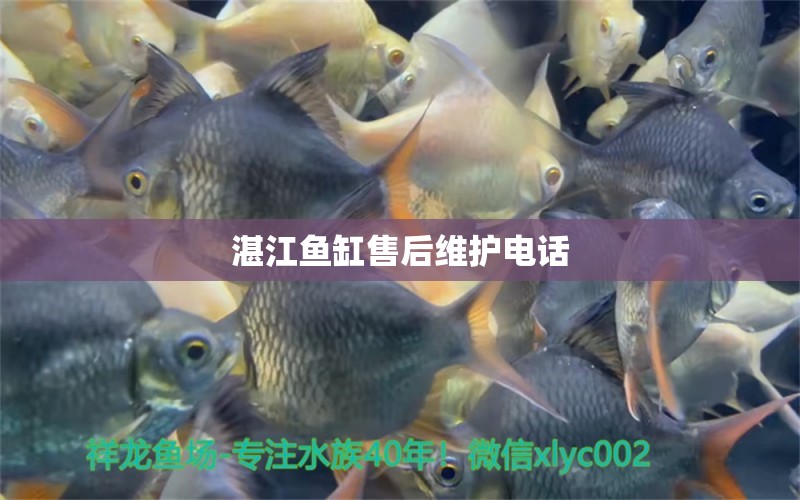 湛江魚(yú)缸售后維護(hù)電話