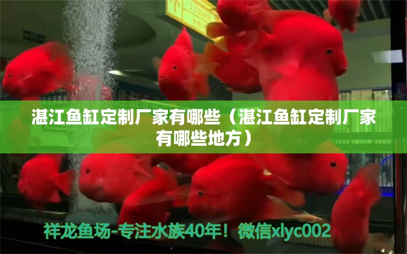 湛江魚缸定制廠家有哪些（湛江魚缸定制廠家有哪些地方） 祥龍水族醫(yī)院