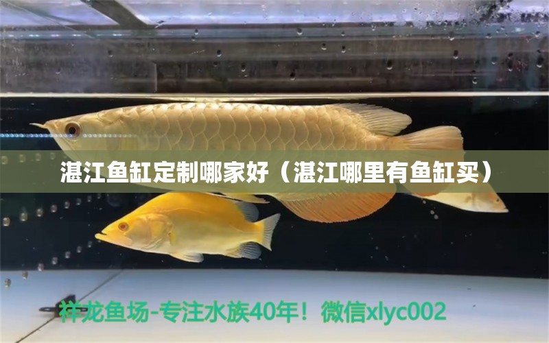 湛江魚缸定制哪家好（湛江哪里有魚缸買）