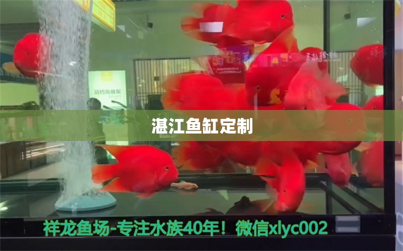 湛江魚缸定制 其他品牌魚缸