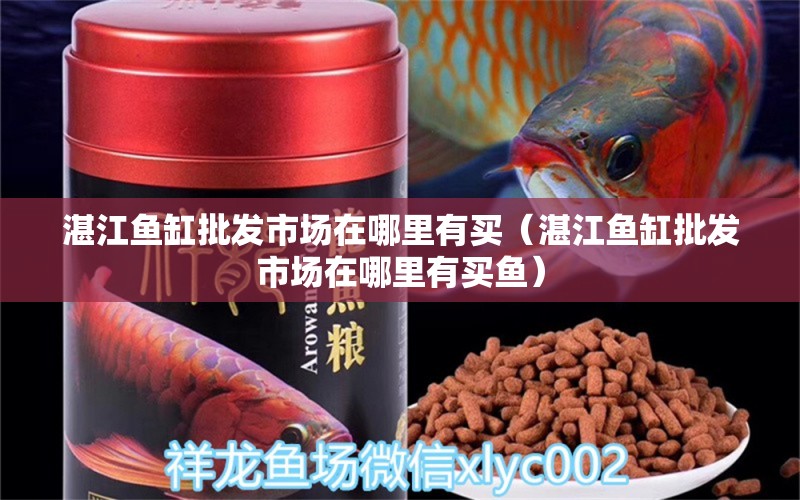 湛江魚缸批發(fā)市場在哪里有買（湛江魚缸批發(fā)市場在哪里有買魚） 觀賞魚市場（混養(yǎng)魚）