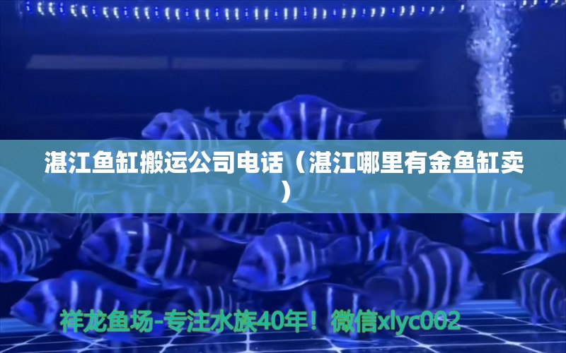 湛江魚缸搬運公司電話（湛江哪里有金魚缸賣）