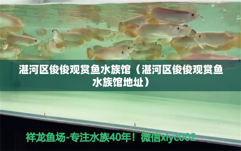 湛河區(qū)俊俊觀賞魚(yú)水族館（湛河區(qū)俊俊觀賞魚(yú)水族館地址）