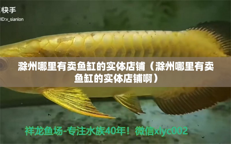 滁州哪里有賣魚缸的實(shí)體店鋪（滁州哪里有賣魚缸的實(shí)體店鋪?。? title=