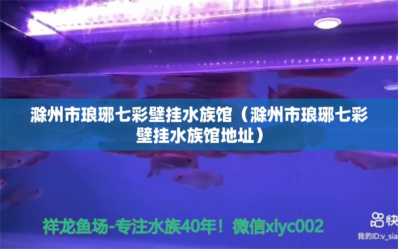 滁州市瑯琊七彩壁掛水族館（滁州市瑯琊七彩壁掛水族館地址） 全國水族館企業(yè)名錄