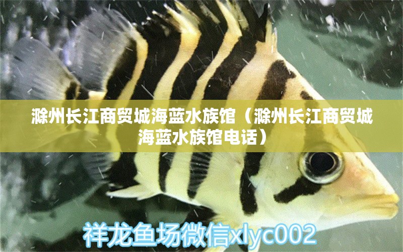 滁州長江商貿(mào)城海藍(lán)水族館（滁州長江商貿(mào)城海藍(lán)水族館電話）