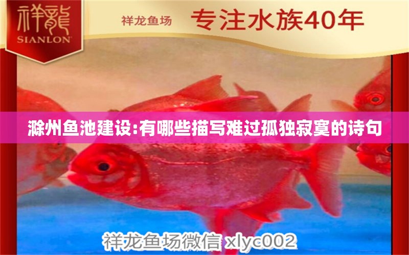 滁州魚池建設:有哪些描寫難過孤獨寂寞的詩句 錦鯉池魚池建設